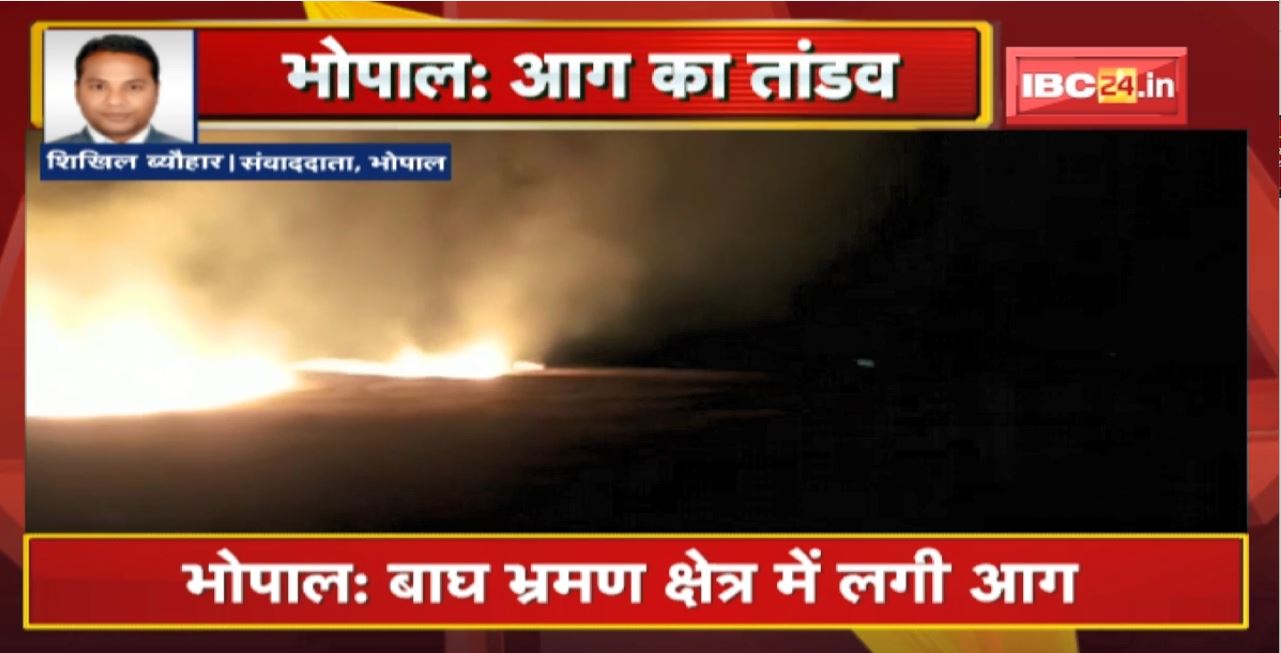 Bhopal Fire News : बाघ भ्रमण क्षेत्र में लगी आग। 80 एकड़ से ज्यादा में फैली आग