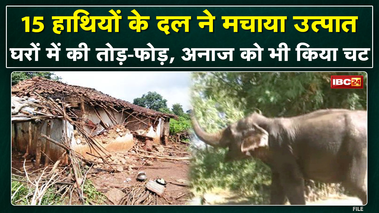 Mainpat Elephant Attack : हाथियों ने बरडाड़ और बरवावली गांव में घरों को तोड़ा | घरों में रखे अनाज चट