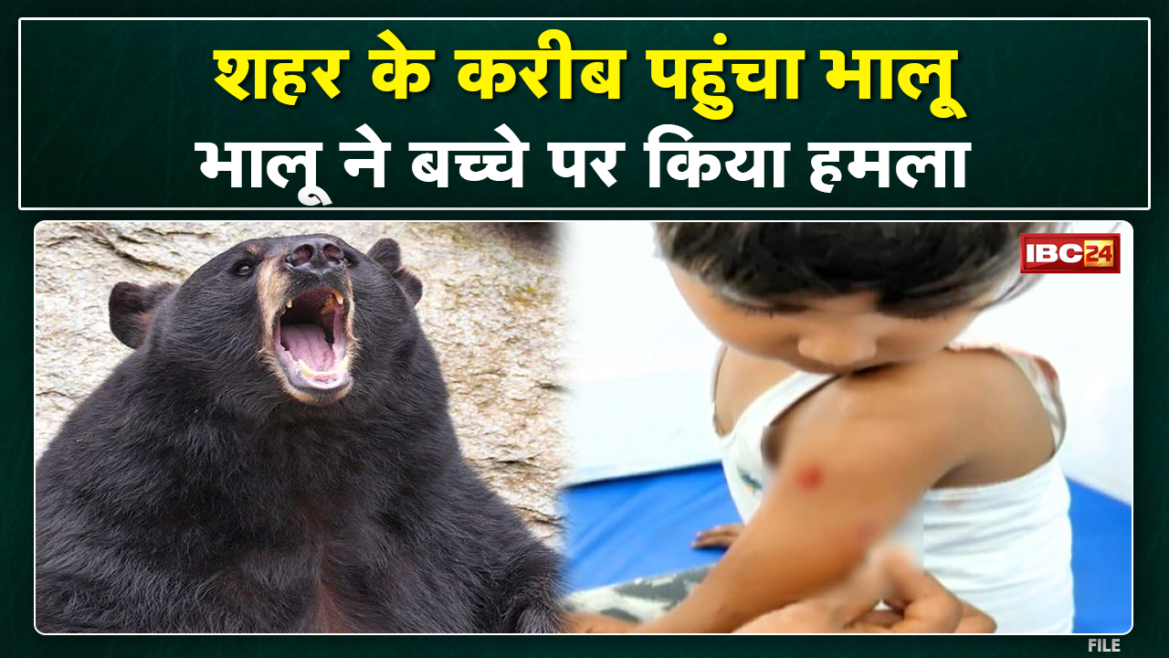 Ambikapur में भालू के हमले से बच्चा घायल | भालू की तलाश में जुटा Forest Department