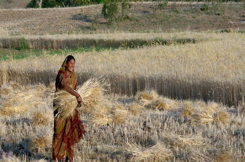 ​प्रदेश के किसानों को बड़ी सौगात, सिंचाई के लिए 500 रुपए प्रति एकड़ देगी राज्य सरकार