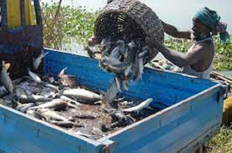 इस राज्य की सरकार का बड़ा फैसला, अब हर महीने मछुआरों को दी जाएगी 4500 रुपये की राशि, ऐसे उठाए लाभ