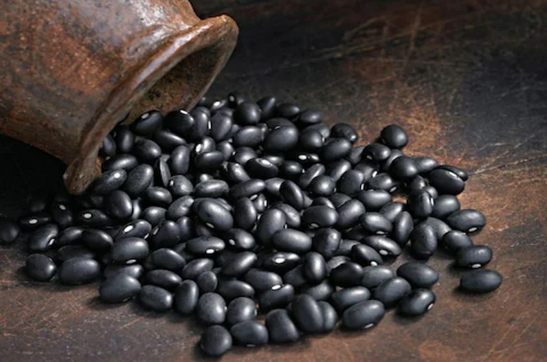 शरीर की सेहत के लिए रोज खाएं ब्लैक बीन्स, इन पोषक तत्वों की रहती है भरमार