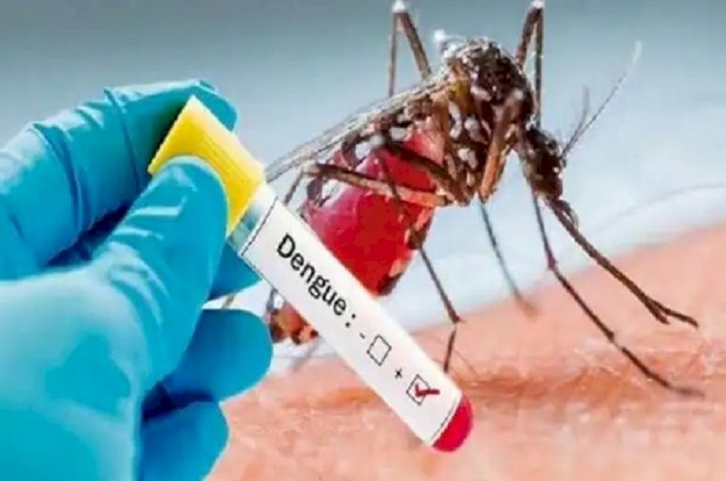Dengue cases increased: दिल्ली में बढ़ा डेंगू का कहर, एक हफ्ते में 304 नए मामले आए सामने