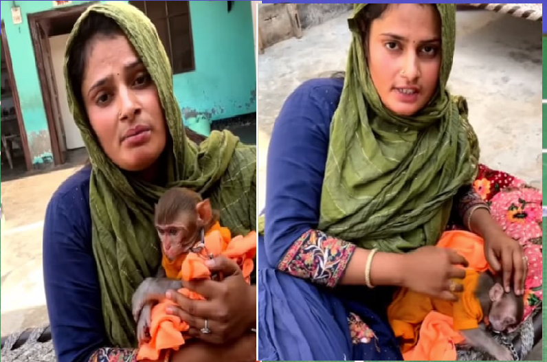 VIDEO: फरमानी नाज ने सुनाई दर्दभरी दास्तां, बंदर के बच्चे को अपना बेटा मानती हैं… ये देख फैंस हुए इमोशनल