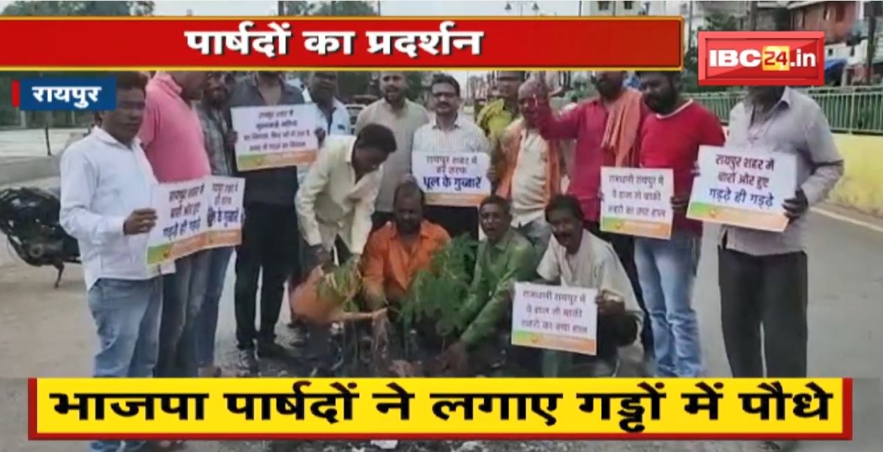 जर्जर सड़क का विरोध | BJP पार्षदों ने लगाए गड्ढों में पौधे | Raipur Nagar Nigam के खिलाफ की नारेबाजी