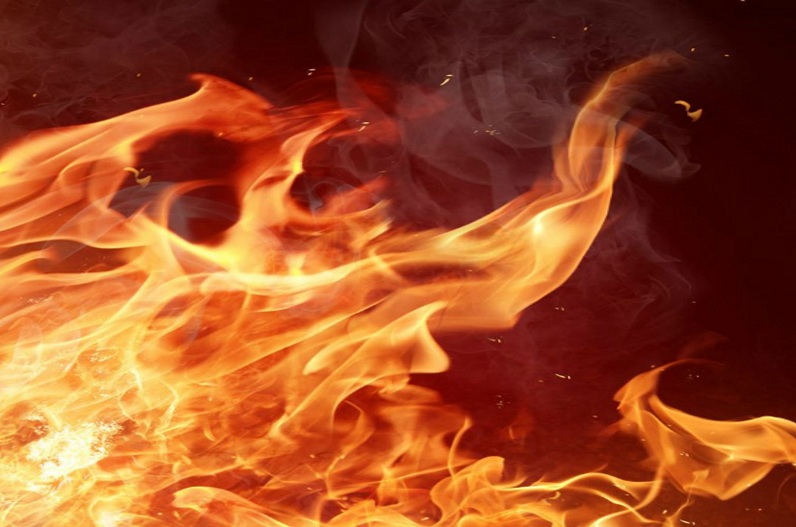 Damoh News : खाना बनाते समय झोपड़ी में लगी आग, जिंदा जले दो मासूम, परिवार में पसरा मातम