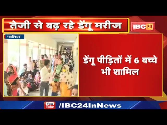 Gwalior Dengue Case Update: ग्वालियर में एक दिन में 14 नए मरीज | डेंगू पीड़ितों में 6 बच्चे भी शामिल