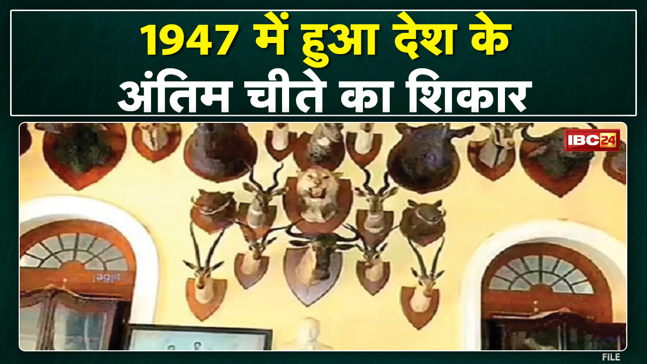 Exclusive News Jagdalpur: 1947 में हुआ देश के अंतिम चीते का शिकार | दरबार हॉल में रखा है चीते का सिर