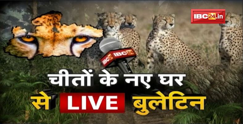 Namibia Cheetah in India : 24 घंटे और..Namibia to Sheopur | देश है तैयार..देखने चीते की रफ्तार