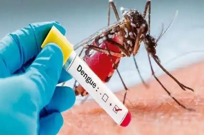 राजधानी में बढ़ा डेंगू का प्रकोप,  मरीजों की संख्या पहुंची 400 के पार, स्वास्थ्य मंत्री ने रोकथाम के लिए उठाए ये बड़े कदम