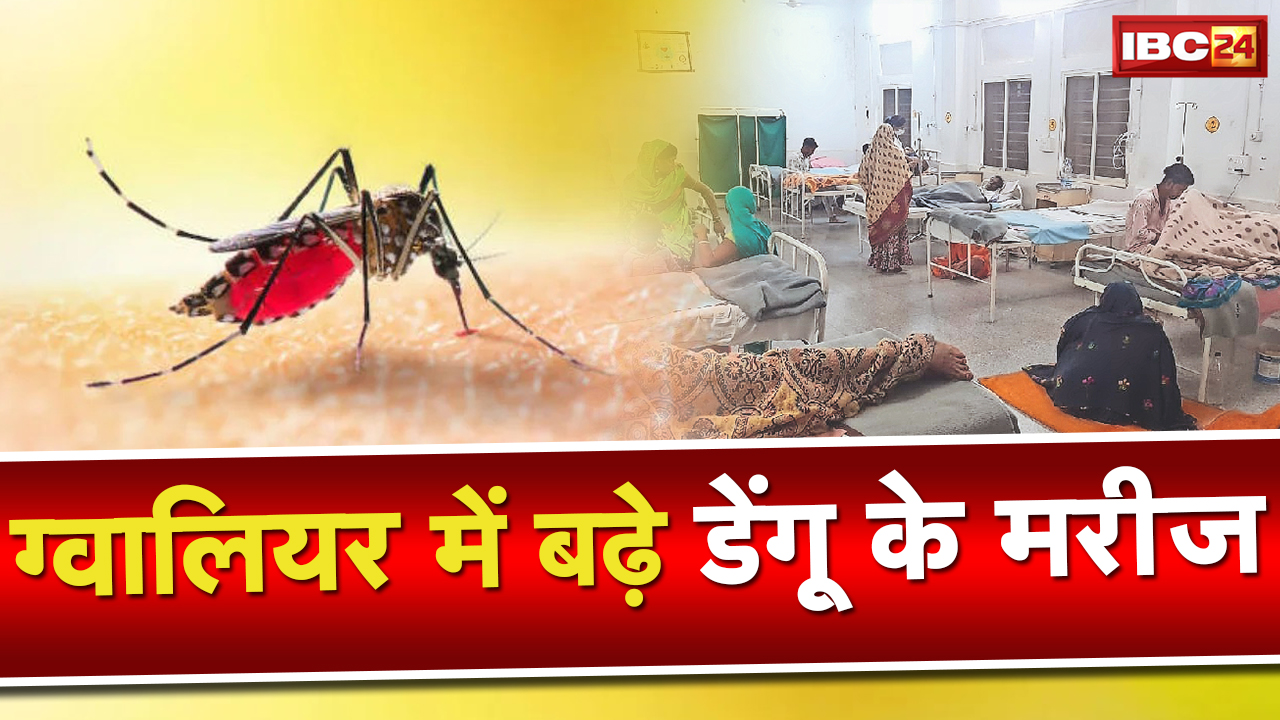 Dengue Outbreak in Gwalior : 49 सैंपलों की जांच में 18 पॉजिटिव इनमें ग्वालियर के 13 मरीज शामिल