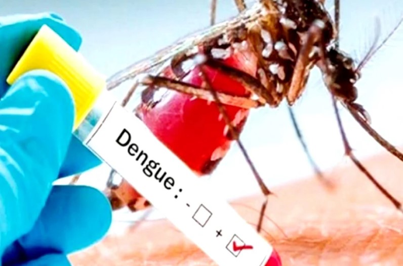 Dengue cases increased: हॉस्टल्स और पीजी में बढ़ा डेंगू का खतरा, बचाव कार्य में जुटी प्रशासन, प्रतिदिन सामने आ रहे नए केस