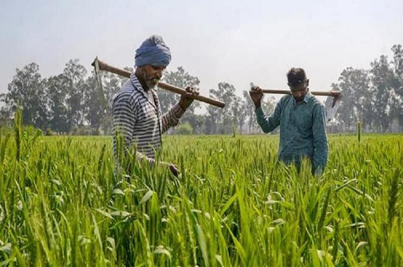 दिवाली में किसानों की बल्ले-बल्ले: PM मोदी इस तारीख को जारी करेंगे Pradhanmantri kisan samman nidhi की 12वीं किस्त, ‘भारत’ ब्रांड के यूरिया बैग भी करेंगे लॉन्च