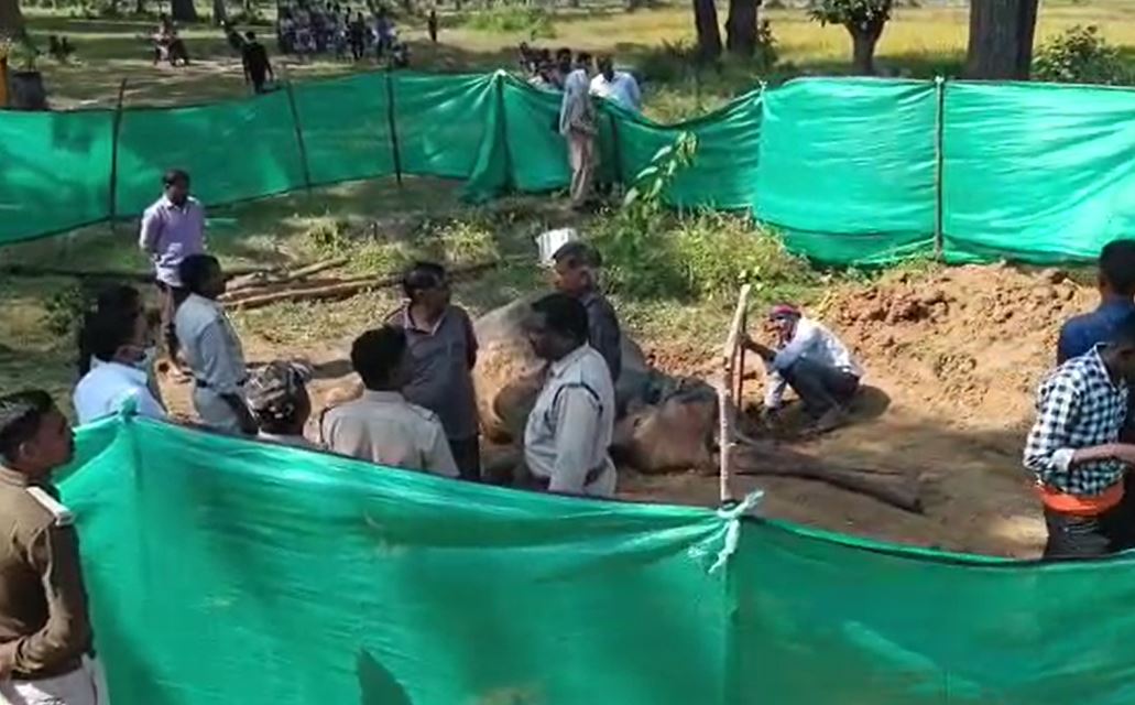 Hathi ke hatyare: हाथी के हत्यारे 12 लोग गिरफ्तार, मुख्य आरोपी जनपद सदस्य अब भी फरार