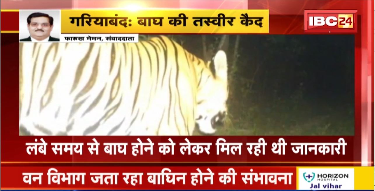 Udanti Sanctuary Gariaband News : उदंती अभयारण्य में बाघ की तस्वीर कैद। वन विभाग जता रहा बाघिन होने की संभावना