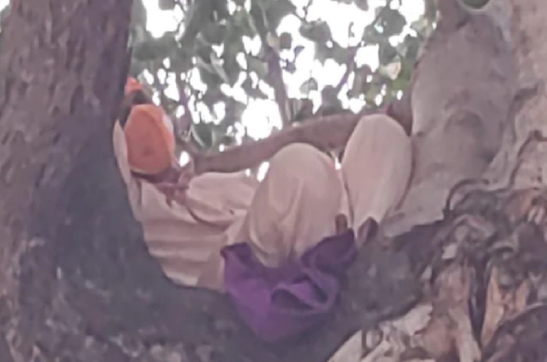 मुख्यमंत्री से मिलाओं नहीं तो…सीएम से मिलने की जिद में गले में फंदा डालकर पेड़ में चढ़ा युवक, पुलिस भी रह गई दंग
