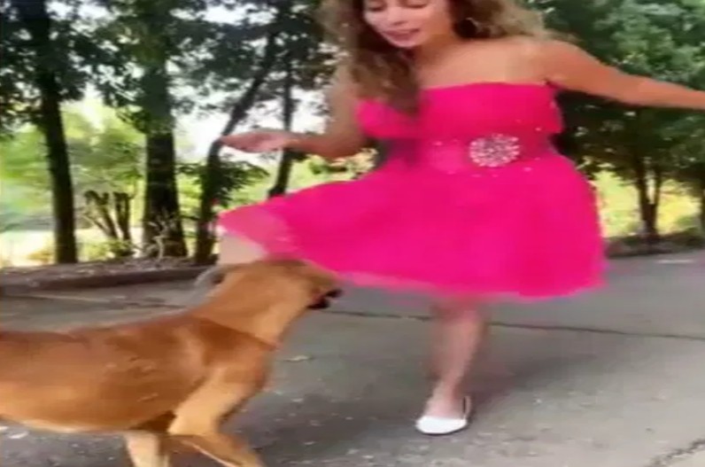 Instagram Reel के लिए गंदी गाली दे कुत्ते को मारी लात, वीडियो देख यूजर्स ने लगा दी क्लास…. करवाया ये काम ….देखें