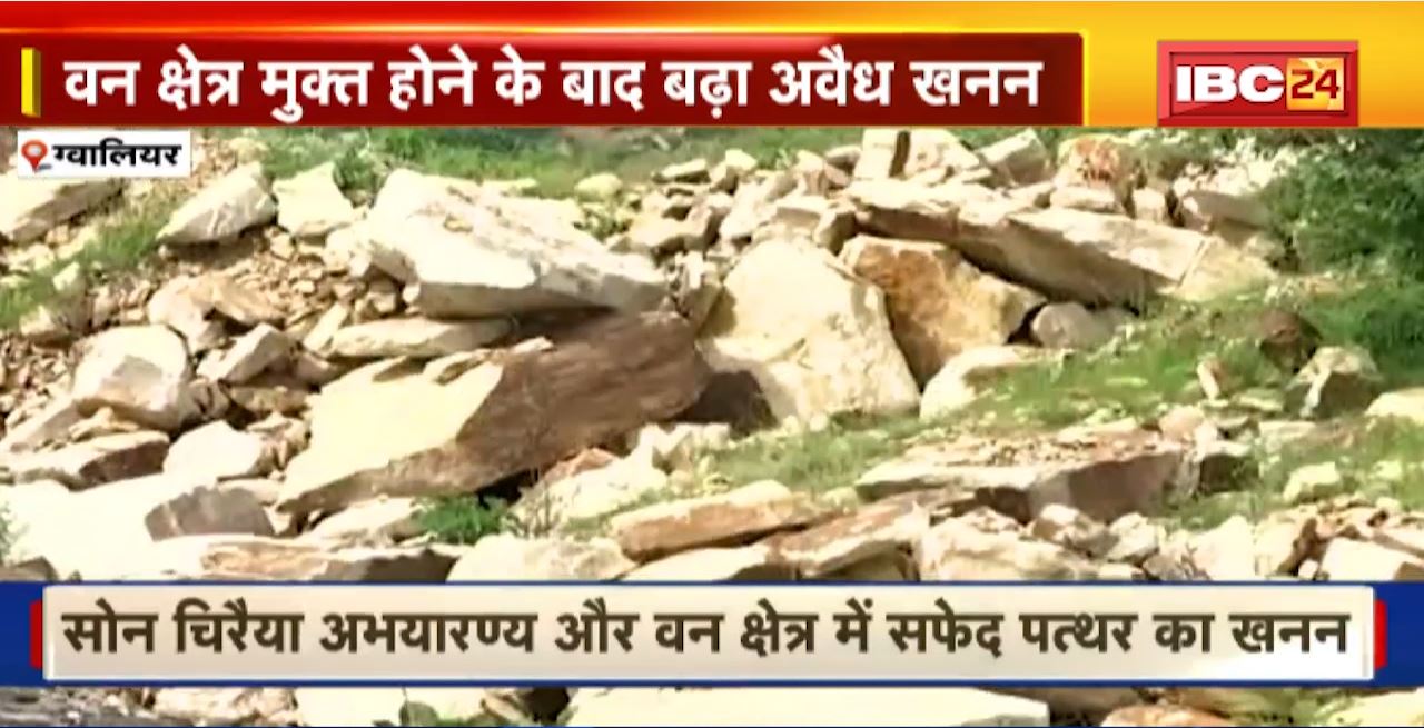 illegal Mining in Gwalior Sanctuary : वन क्षेत्र मुक्त होने के बाद बढ़ा अवैध खनन। Son Chiraya Sanctuary और वन क्षेत्र में सफेद पत्थर का खनन