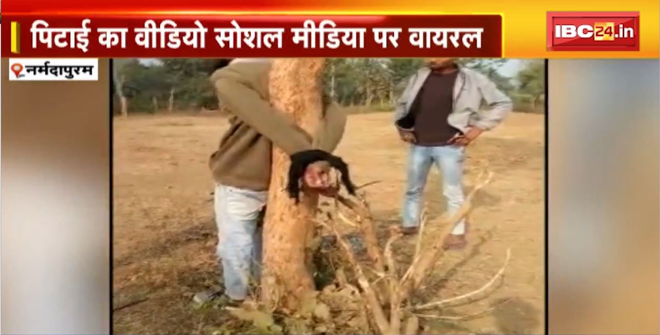 Narmadapuram Crime News : युवक को पेड़ से बांधकर पीटा। पिटाई का Video Social Media पर Viral