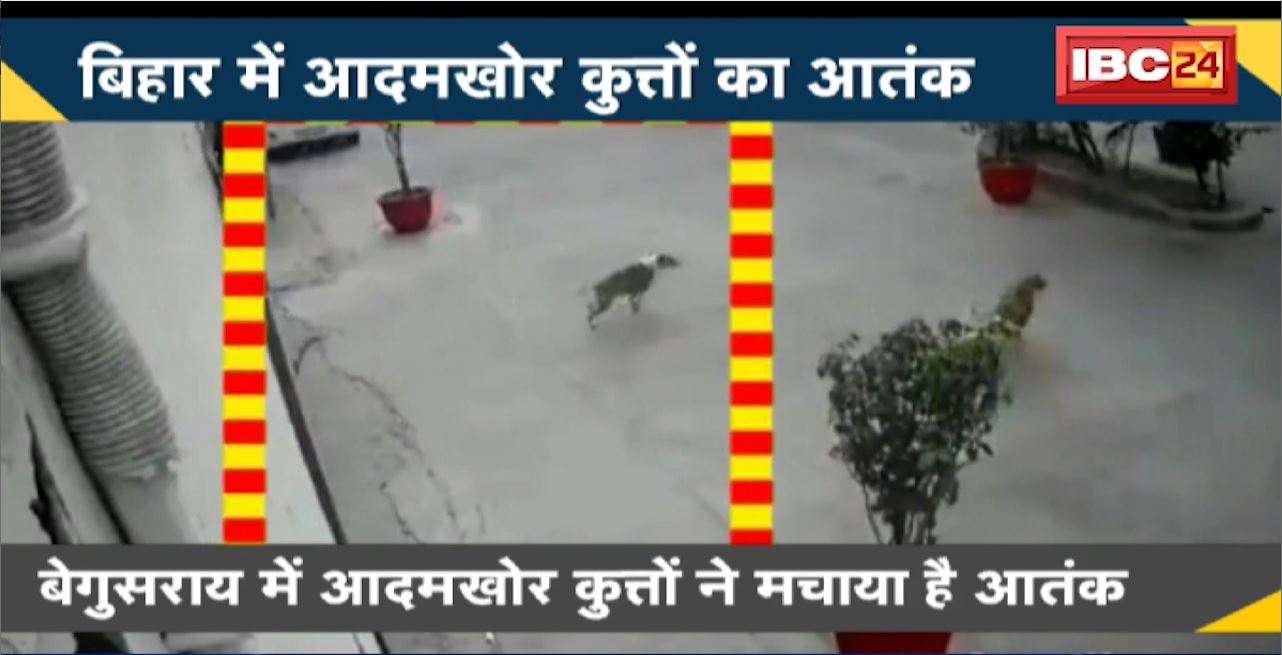 NEWS DECODE : Bihar में आदमखोर कुत्तों का आतंक। कुत्तों ने ले ली 10 लोगों की जान