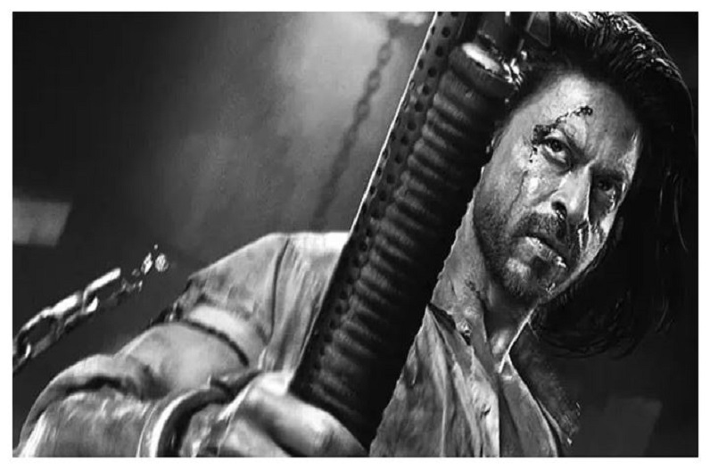 पठान को मिली भारी सफलता के बीच ये क्या बोल गए शाहरुख खान…