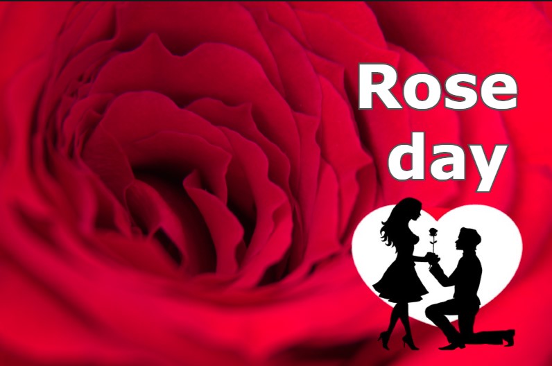 Rose Day 2023 : कल से शुरू हो रहा प्यार का सप्ताह, Rose Day पर चाहने वाले को भेजें ये 10 प्यार भरे मैसेज, पढ़कर हो जाएंगे खुश
