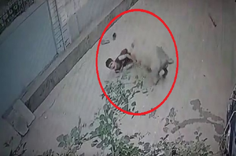 Video: सूअर के हमले का हैरान कर देने वाला Footage, सड़क पर खेल रहे बच्चे को बनाया शिकार, आप भी देखें