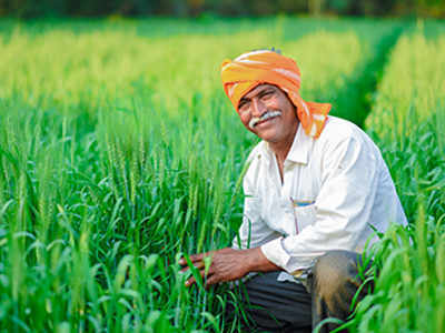 Chhattisgarh Budget 2023 : किसानों के लिए बजट 2023 में क्या है खास, एक क्लिक में जानें सारी बात…