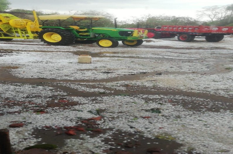 Weather Update : जिले में बारिश का कहर! ओलावृष्टि से फसलें हुई चौपट, किसानों की बढ़ी मुश्किलें