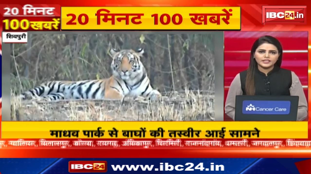20 मिनट 100 खबरें : माधव पार्क से बाघों की तस्वीर आई सामने। Chhattisgarh-Madhya Pradesh Non Stop