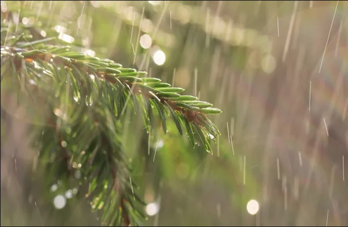छत्तीसगढ़ में होगी राहत की बारिश, कई जिलों में गरज-चमक के साथ वर्षा की संभावना