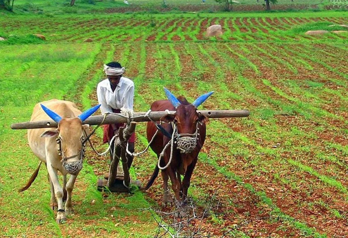 सरकार ने माफ किया किसानों का करोड़ों रुपए का कर्ज, चुनाव से पहले अन्नदाताओं को दी बड़ी सौगात