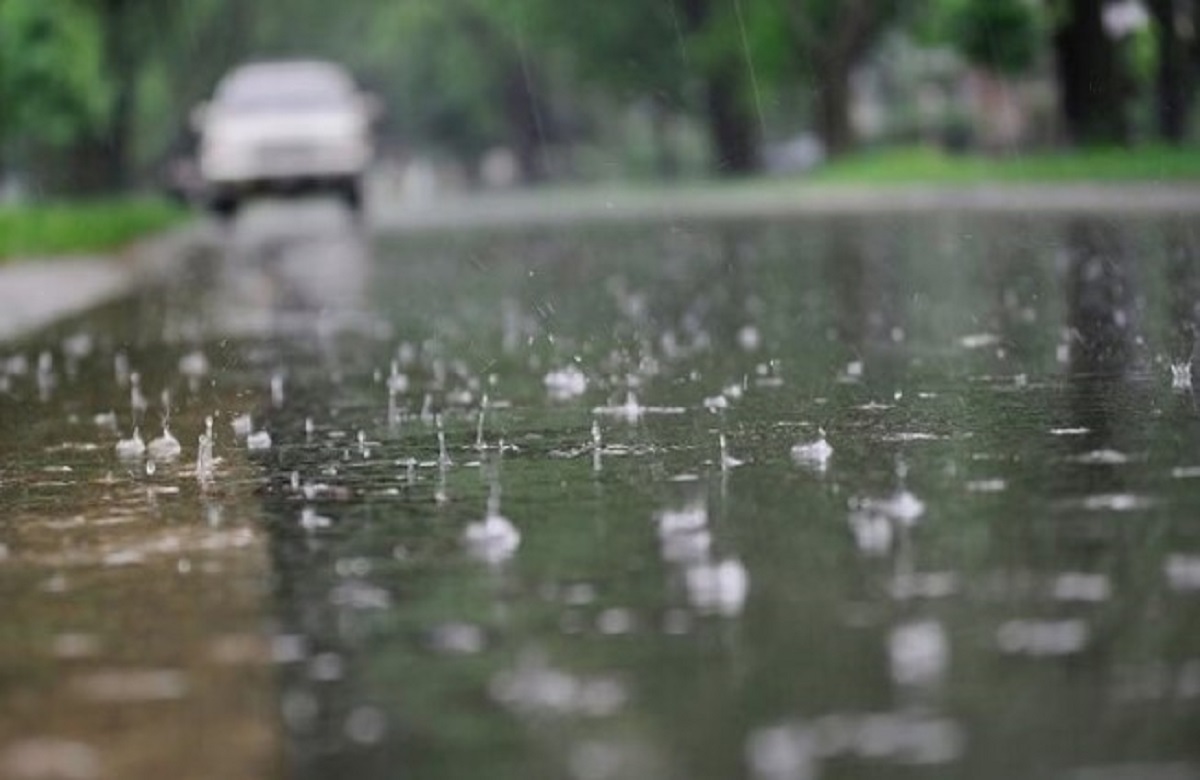 Monsoon Updates: देश के 25 राज्यों में अगले दो दिनों तक होगी झमाझम बारिश, IMD ने जारी किया मानसून का ताजा अपडेट