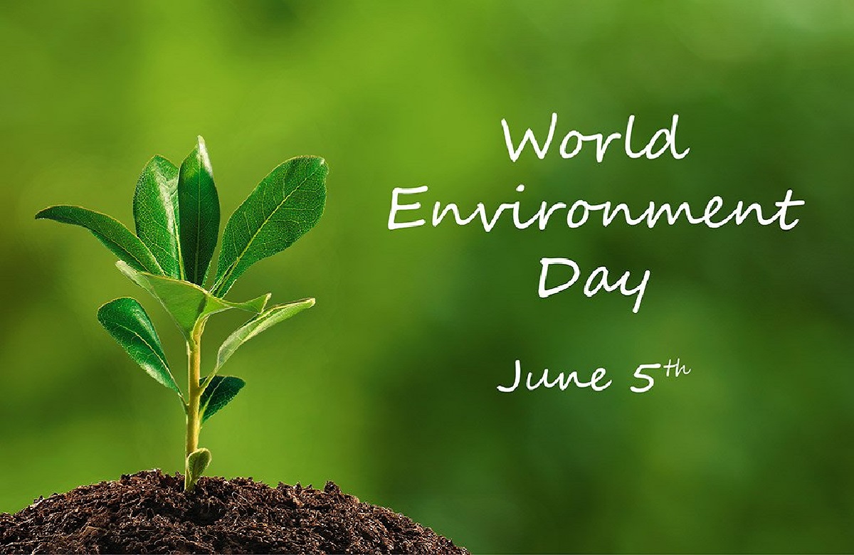 World Environment Day : कब और कैसे हुई विश्व पर्यावरण दिवस मानाने की शुरुआत, इतिहास से लेकर थीम तक सबकुछ जानें यहां