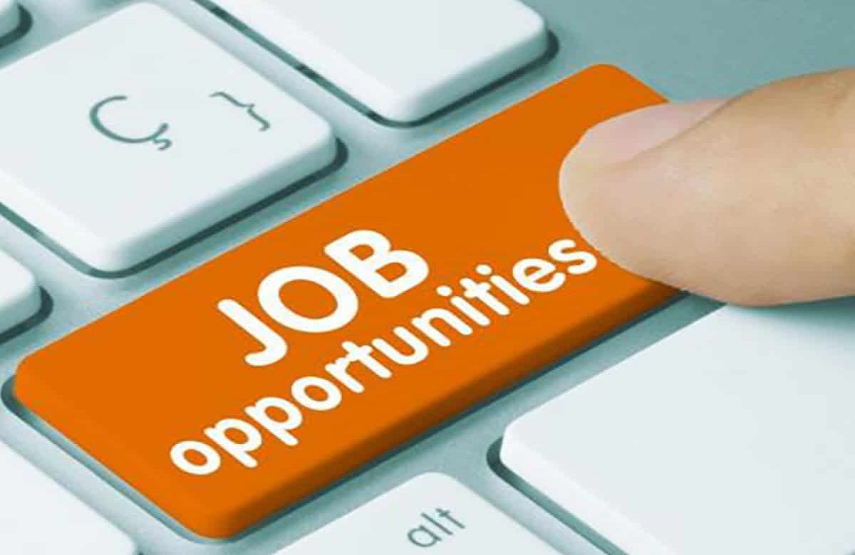 SAIL Recruitment 2024: सरकारी नौकरी पाने का सुनहरा मौका, SAIL में निकली बंपर भर्ती, इस दिन तक कर सकते हैं अप्लाई…