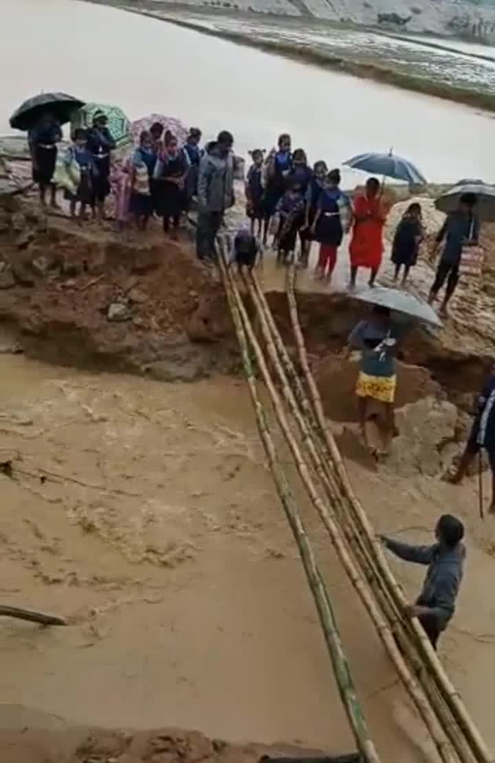 Keshkal News: बारिश के कारण नदी नाले उफान पर, ग्रामीणों ने बनाया बांस का रास्ता, जान जोखिम में डालकर नाला पार करते नजर आए बच्चे