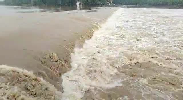 Bhilai News: भारी बारिश से शिवनाथ नदी उफान पर, मौसम विभाग ने भारी बारिश की दी चेतावनी,जिला प्रशासन ने आसपास के इलाको में जारी किया हाई अलर्ट