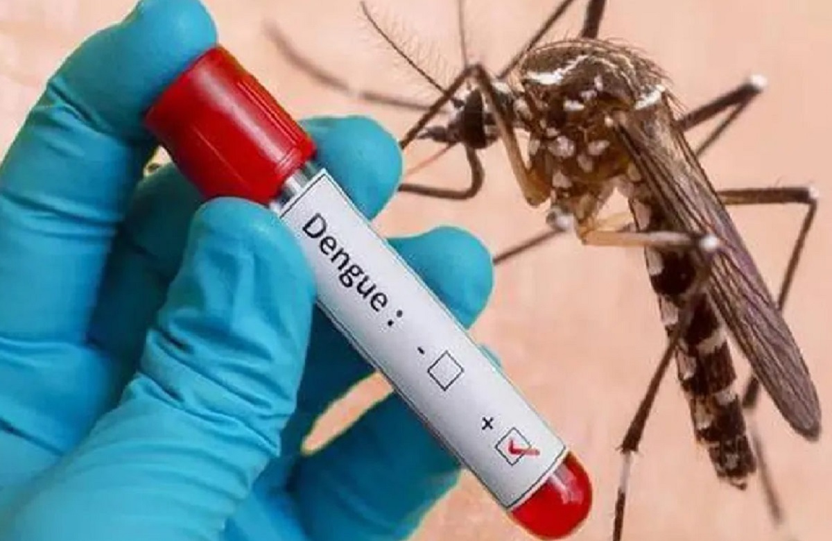 Bhopal Dengue News: लगातार बढ़ रहे मरीज, राजधानी में डेंगू पाजिटिविटी रेट दस प्रतिशत तक पहुंचा