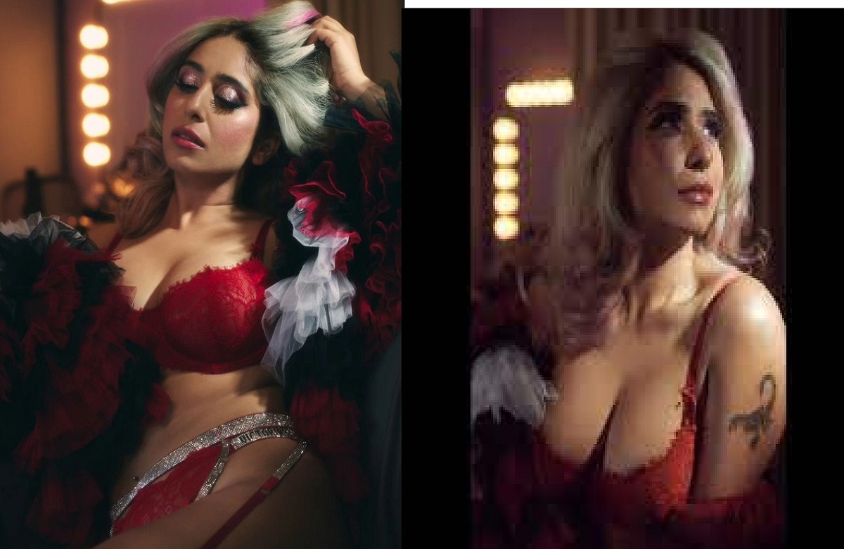 Sunny Leone Sexy Video Jo Hindi Mein Bolti Hai - Neha Bhasin bold sexy Video