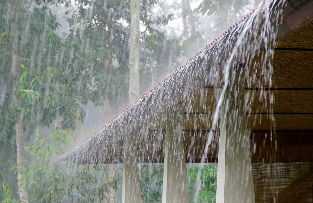 CG weather update: प्रदेश में बारिश का दौर जारी, आज भी कई इलाकों में होगी झमाझम बारिश