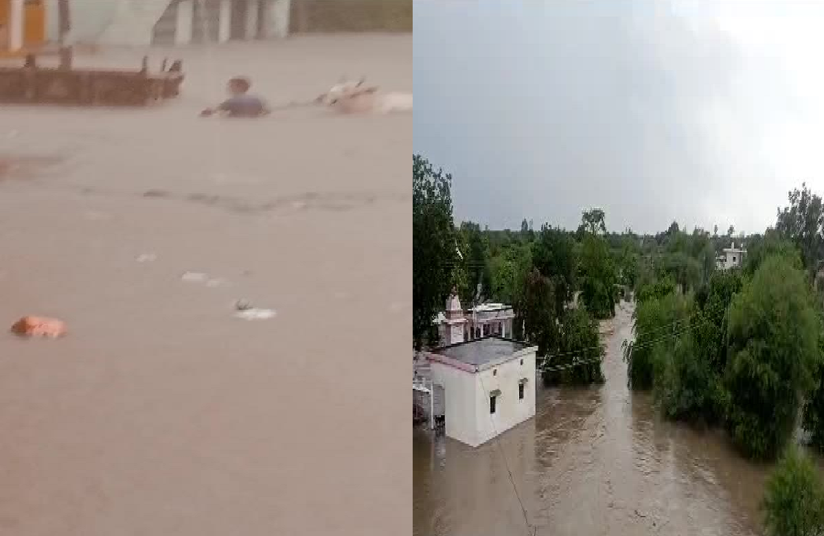 MP News: बारिश ने मचाई तबाही, घरों में भरा पानी, बिजली सप्लाई भी बंद.. दो दर्जन गांवों से टूटा संपर्क