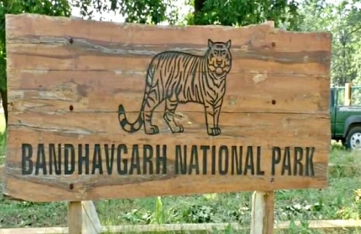 Bandhavgarh National Park: संदिग्ध परिस्थिति में एक और बाघिन की मौत, शरीर पर मिले चोट के निशान