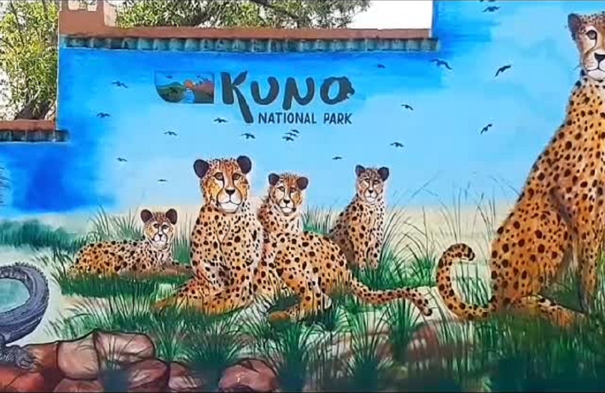 Kuno National Park News: कूनो नेशनल पार्क का सफर और भी होगा मजेदार, जल्द उठा सकेंगे चीता सफारी का मजा