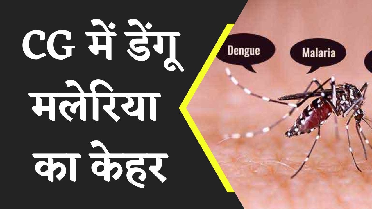 Dengue Maleria cases in chhattisgarh:Eye flu के बाद अब Chhattisgarh में dengue maleria का कहर
