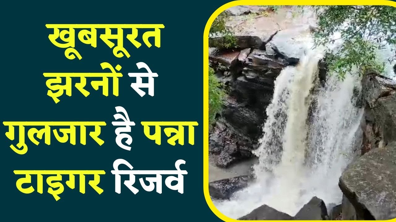 Beautiful Waterfall: खूबसूरत झरनों से गुलजार है पन्ना टाइगर रिजर्व, बड़ी संख्या में पहुंच रहे पर्यटक