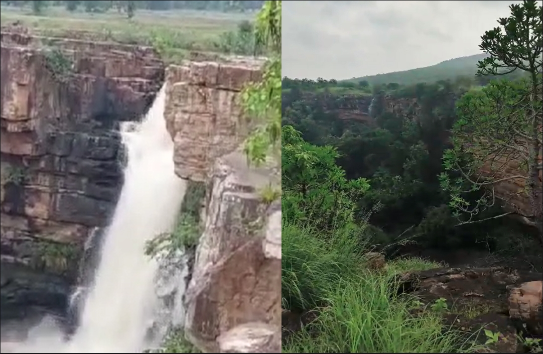 Beautiful Waterfall : खूबसूरत झरनों से गुलजार है पन्ना टाइगर रिजर्व, पर्यटकों को कर रहे आकर्षित, देखें वीडियो…