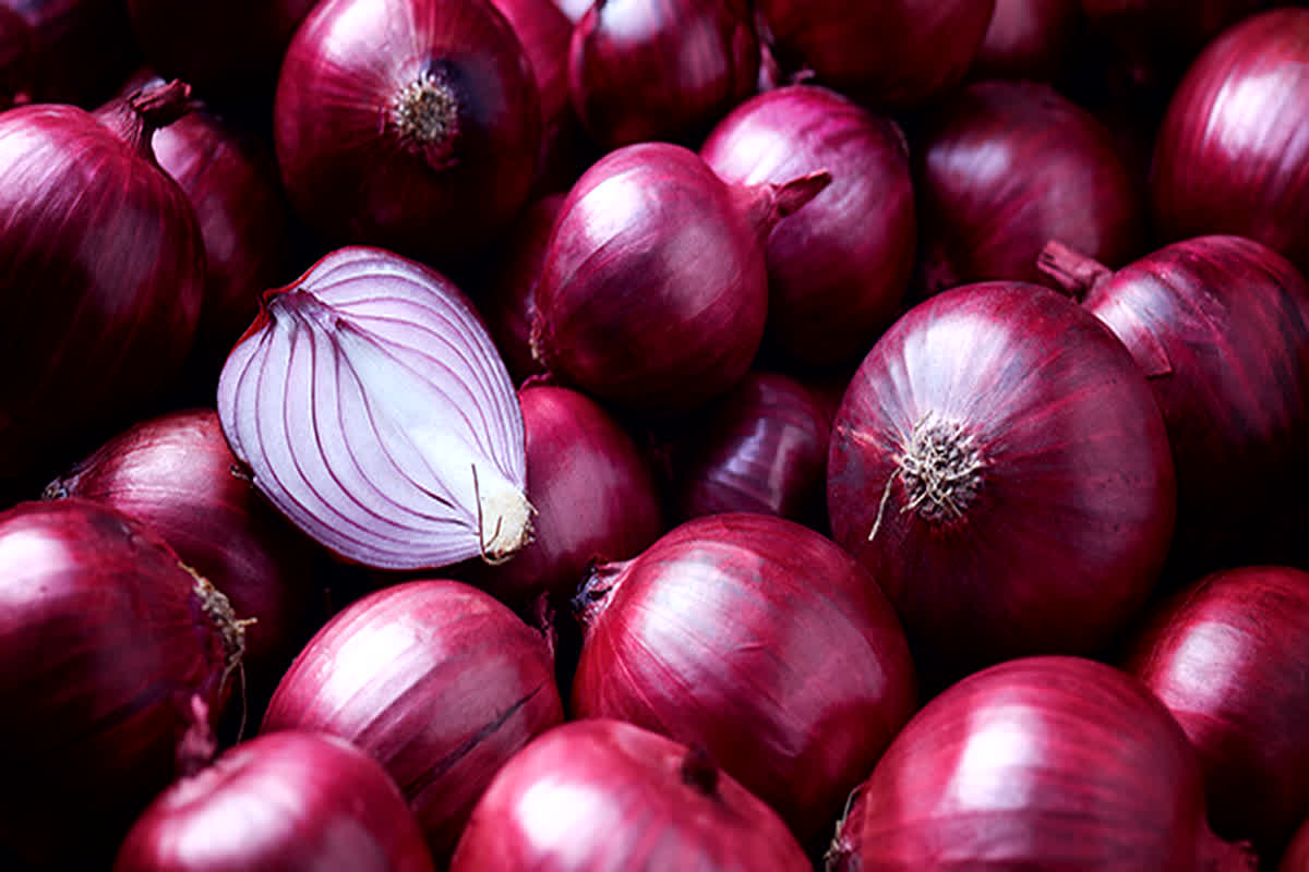 Onion Price: प्याज किसानों के लिए बड़ी खुशखबरी, पिछली बार से दोगुनी होगी खरीदारी, जानें क्या है सरकार का खास प्लान…?