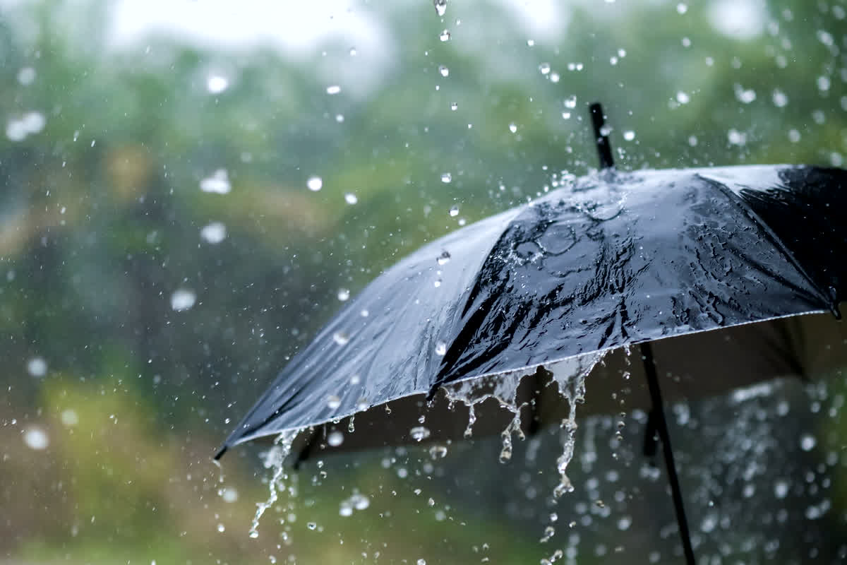 Weather Update : प्रदेश के कई जिलों में मूसलाधार बारिश, रेल सेवा भी हुई प्रभावित, मौसम विभाग का अलर्ट जारी