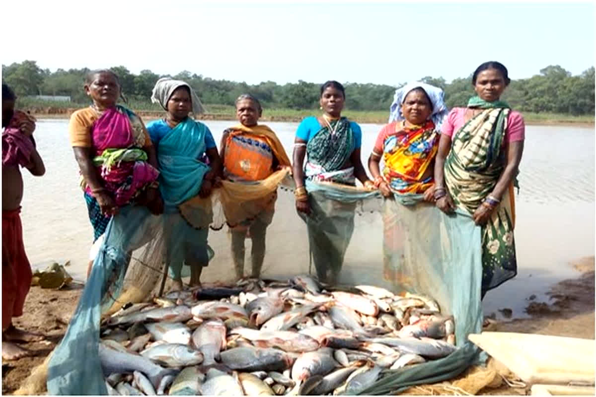 Swa Sahayata Samooh: स्व सहायता समूह के लिए मछली पालन बना सामुहिक आजीविका का स्त्रोत, अब तक 60 हजार रूपए का हो चुका है आमदनी