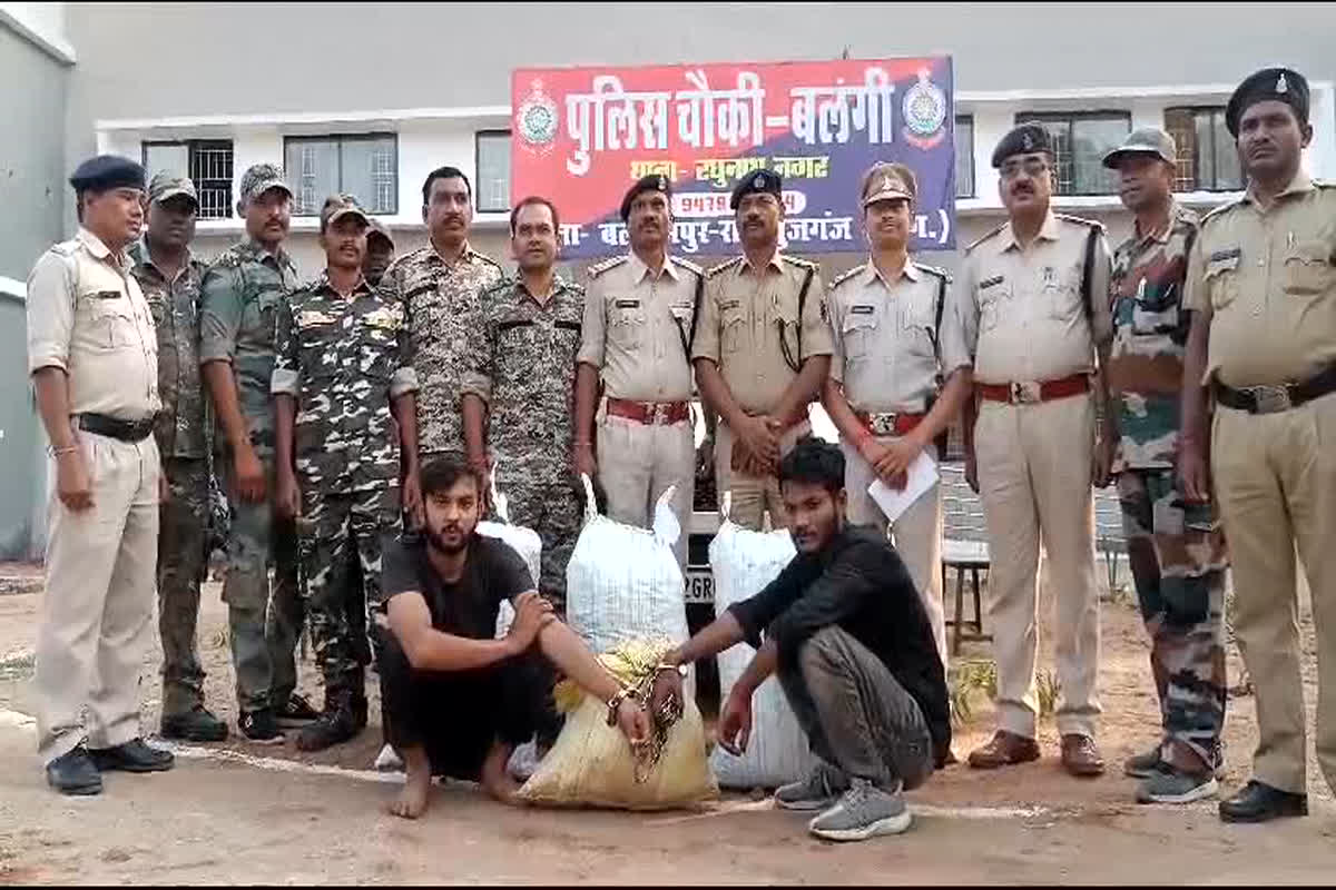 Balrampur News: नशे के खिलाफ पुलिस की बड़ी कार्रवाई, अवैध गांजे के 2 गांजा तस्कर गिरफ्तार
